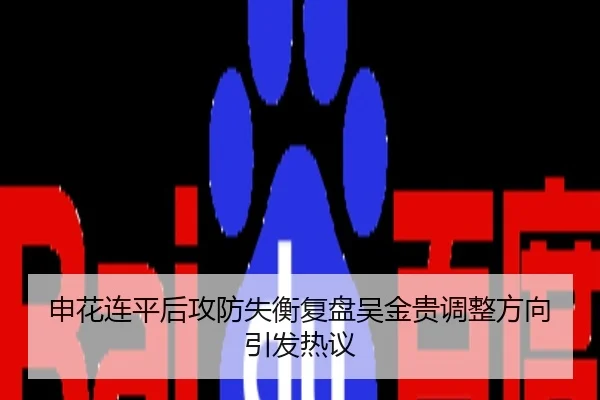 申花连平后攻防失衡复盘吴金贵调整方向引发热议